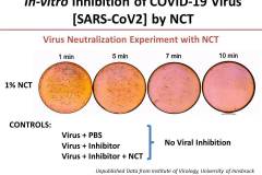 1-NCT-In-vitro-Inhibition-of-COVID-19-Virus-slides